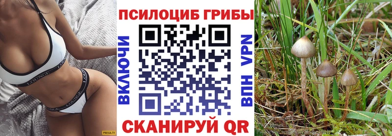 купить   Электросталь  Псилоцибиновые грибы Cubensis 